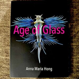 Age‎ of glass  poems